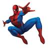 Аватар для spideyman